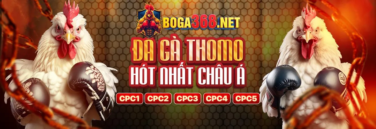 Đá gà 68Wim kịch tính